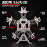TECHING Jet Engine Model Kit 5-Cylinder Radial Engine Model Kit That Runs Mechanical Metal Assembly DM116 230+pcs